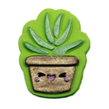 Bombe de bain Plante Succulente